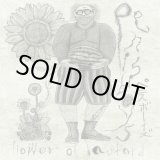 画像: penisboys / Flower of bastard (7ep) Debauch mood 