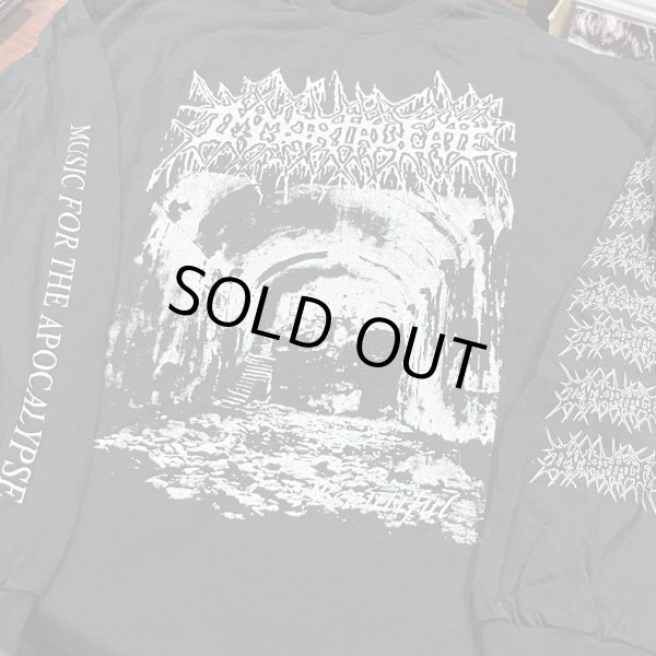 画像1: IMMORTAL FATE / Beautiful (long sleeve shirt)  