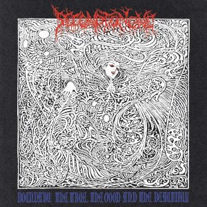 画像: Second to none / Boundary:The true, the good and the beautiful (cd) Mandragora