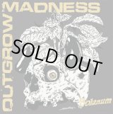 画像:  OUTGROW MADNESS / Solanum (7ep) 625