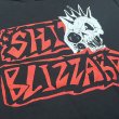画像2:   SHIT BLIZZARD / Demo (t-shirt)  