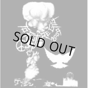 画像: V.A / TO FUTURE GIG 2009 (CD+FANZINE)