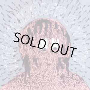 画像: THE SCRIBBLER, WWIT / split (cd) SUBURBIA WORKS