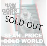 画像: COLD WORLD & SEAN PRICE / How the gods chill (12") The white glove group 