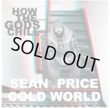 画像: COLD WORLD & SEAN PRICE / How the gods chill (12") The white glove group 