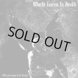 画像: WORLD BURNS TO DEATH / the graveyard of utopia (cd) HG FACT