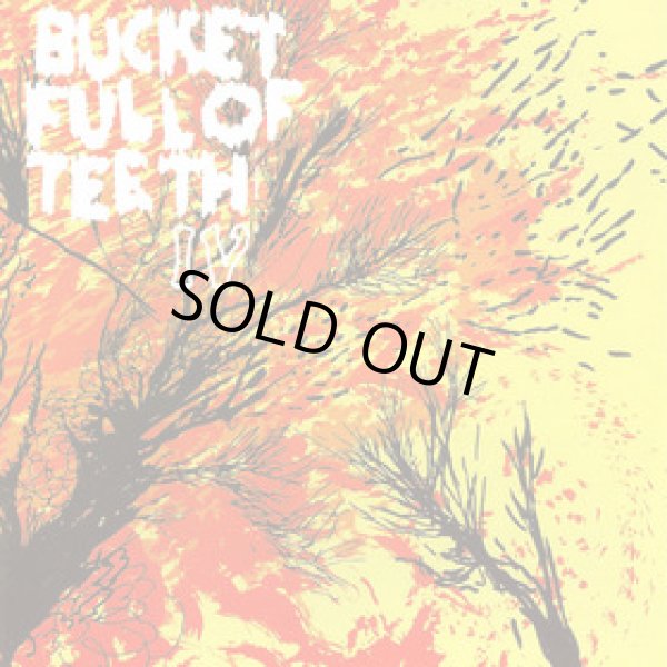 画像1: BUCKET FULL OF TEETH / IV (cd) Level plane