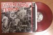 画像1: EXTREME NOISE TERROR / a holocaust in your head Limited ver. (Lp) Farewell