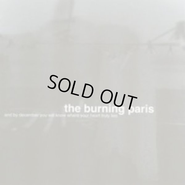 画像1: THE BURNING PARIS / And By December You Will Know Where Your Heart Truly Lies (cd) Magic bullets