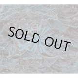 画像: SHIPWRECK A.D. / Abyss (cd) Deathwish, Inc