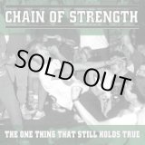 画像: CHAIN OF STRENGTH / The One Thing That Still Holds True (cd)(Lp) Revelation