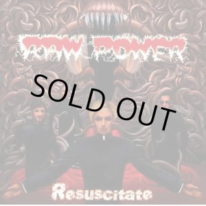 画像: RAW POWER / Resuscitate (cd) P.I.G
