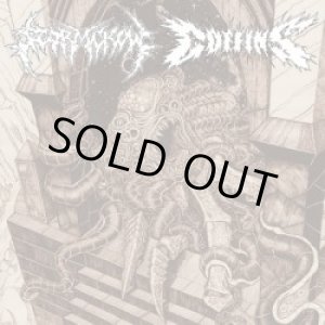 画像: STORMCROW, COFFINS / split (Lp) 20 Buck Spin