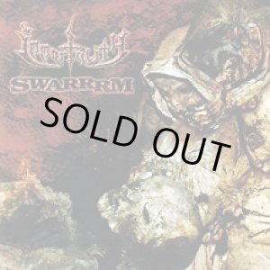 画像: SWARRRM, IMMORTALITY / split (cd) Hardcore kitchen