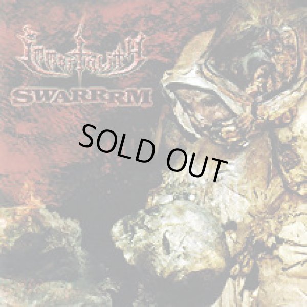 画像1: SWARRRM, IMMORTALITY / split (cd) Hardcore kitchen