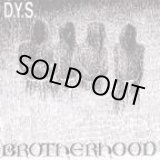 画像: DYS / Brotherhood (cd) (Lp) taang