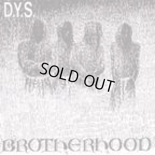 画像1: DYS / Brotherhood (cd) (Lp) taang