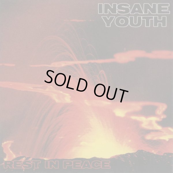 画像1: INSANE YOUTH / REST IN PEACE (cd) 男道