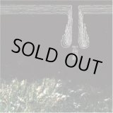 画像: ENVY, JESU / split (cd) Daymare