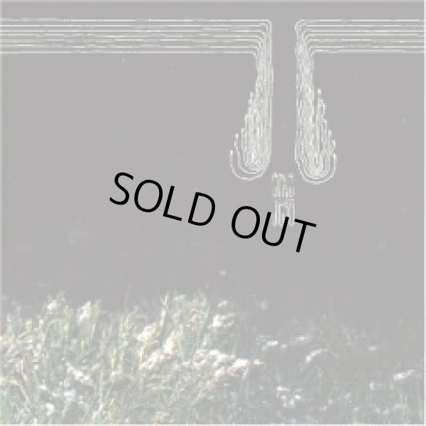 画像1: ENVY, JESU / split (cd) Daymare