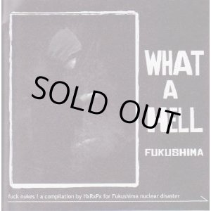 画像: V.A / WHAT A HELL FUKUSHIMA (cd+zine) Human Recovery Project