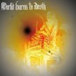 画像2: WORLD BURNS TO DEATH, BLOWBACK / split (7ep) HG fact