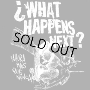 画像: WHAT HAPPENS NEXT? / O segundo ano e alguma outra caca (cd) Laja 