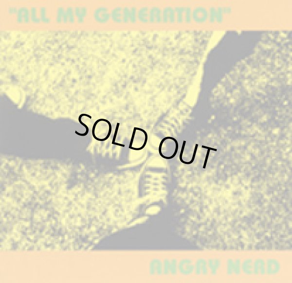 画像1: ANGRY NERD / all my generation (cd) nodevans