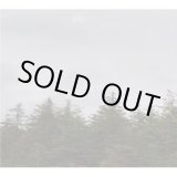 画像: JESU / Infinity (2cd) Daymare