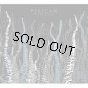 画像: PELICAN / city of echoes (cd) hydra head