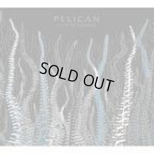 画像1: PELICAN / city of echoes (cd) hydra head