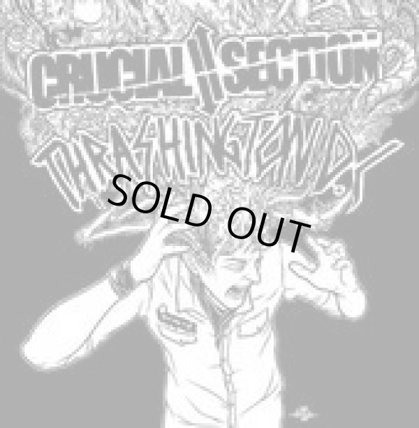 画像1: CRUCIAL SECTION, THRASHINGTON DC / split (7ep) Crew for life