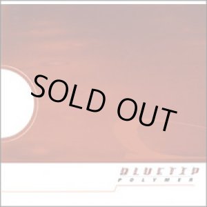 画像: BLUETIP / Polymer (cd) Dischord