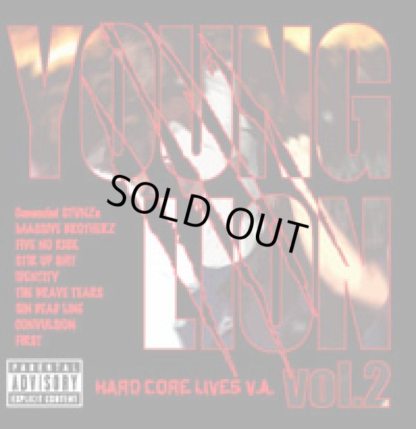 画像1: V.A / young lion vol.2 (cd) BM.records