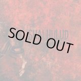 画像: SHAI HULUD / That within blood ill-tempered (cd) (Lp) Revelation