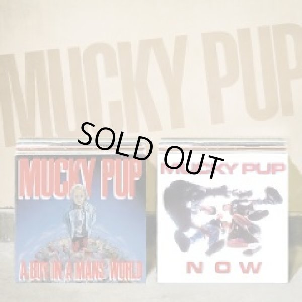 画像1: MUCKY PUP / A Boy In A Mans World + Now (cd) I SCREAM