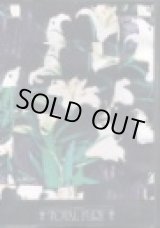 画像: TOTAL FURY / 13 songs (cd) 男道