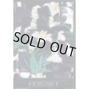 画像: TOTAL FURY / 13 songs (cd) 男道