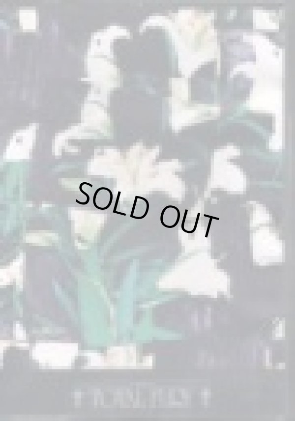 画像1: TOTAL FURY / 13 songs (cd) 男道