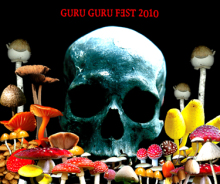 画像1: V.A / GURUGURU FEST 2010 (cd) Chaotic noise