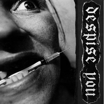 画像1: DESPISE YOU / West side horizons (cd)(Lp)  Tankcrimes