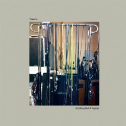 画像1: TELEKOV(Numb Turnpike) / Anything but a yuppie (cd) Scum study production