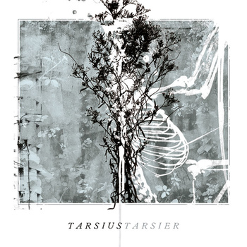 画像1: TARSIUS TARSIER / Ceremonia de atadura de manos (cd) Longlegslongarms