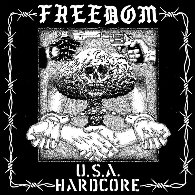 画像1: FREEDOM / USA Hardcore (Lp) Triple-B