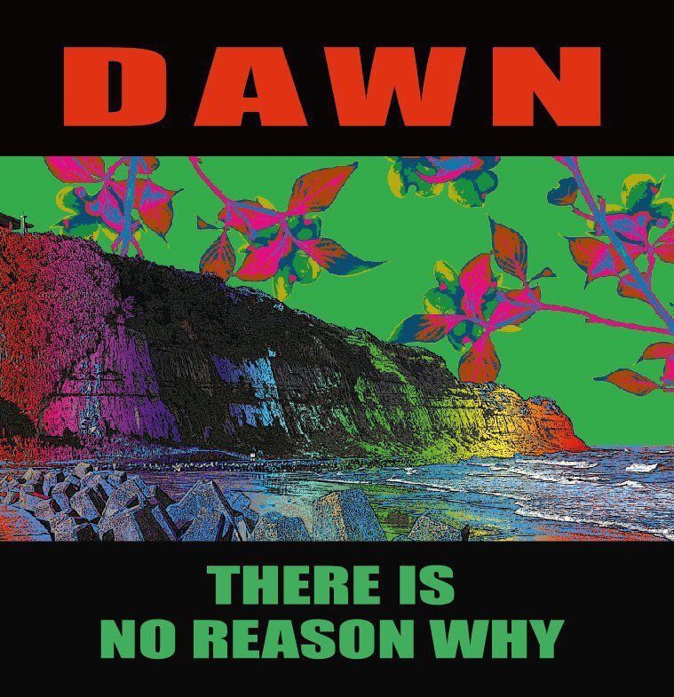 画像1: DAWN / There is no reason why (10") Debauch mood