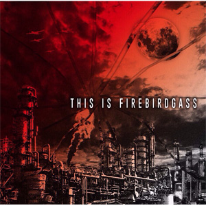 画像1: FIREBIRDGASS / This is firebirdgass (cd) Break the record