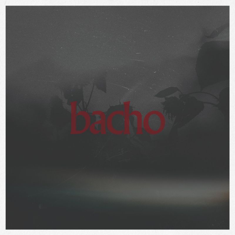 画像1: bacho / 陽炎 (cd) Cosmic note 