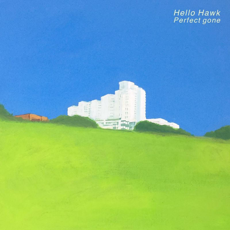 画像1: Hello Hawk / Perfect gone (cd) Toosmell 