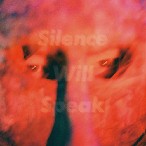 画像1: GEZAN / Silence will speak (cd) 十三月の甲虫 