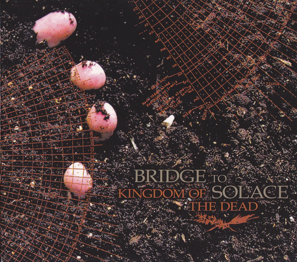 画像1: BRIDGE TO SOLACE / Kingdom of the dead (cd) Let it burn 